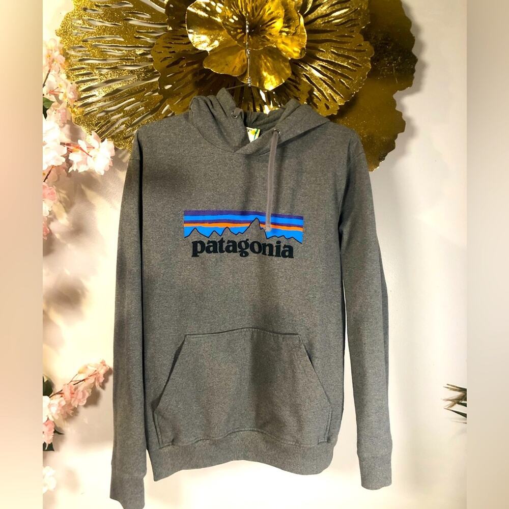 Patagonia hoodie in grey